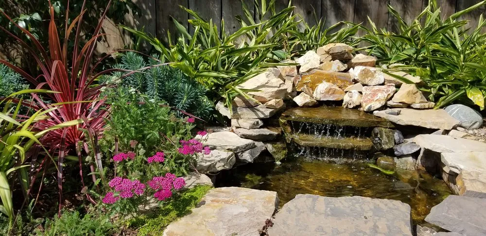 Professional lawn mowing service in Los Angeles, CA - Whitney LAndscape LA