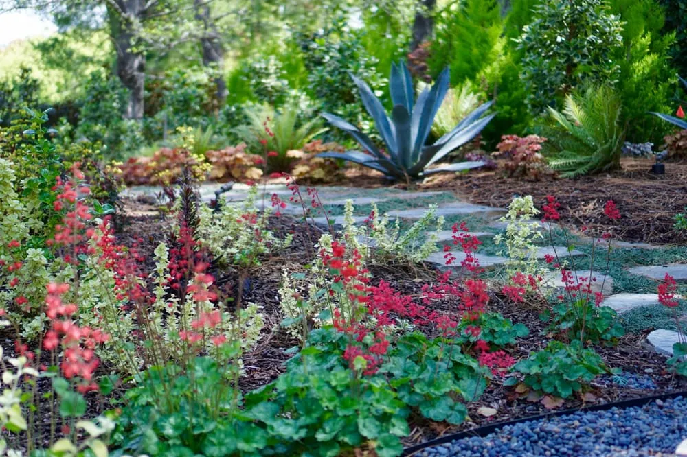 Affordable yard cleanup service in Los Angeles, CA - Whitney LAndscape LA