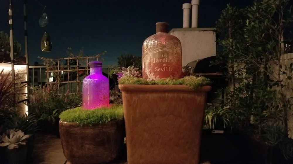 Reliable yard maintenance for homes in Los Angeles, CA by Whitney LAndscape LA