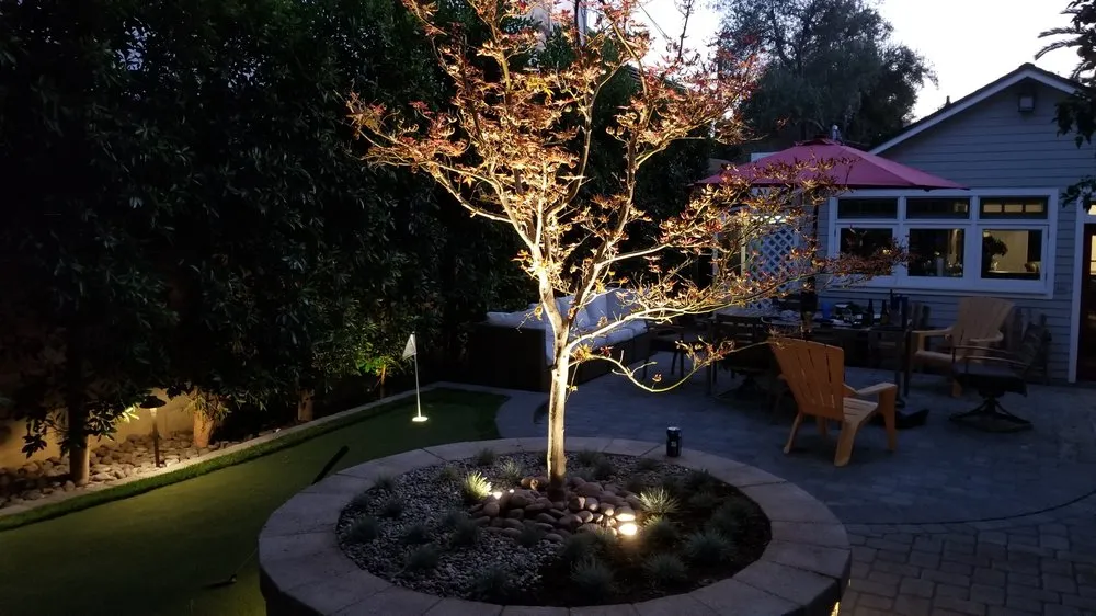 Affordable lawn care service experts serving Los Angeles, CA - Whitney LAndscape LA