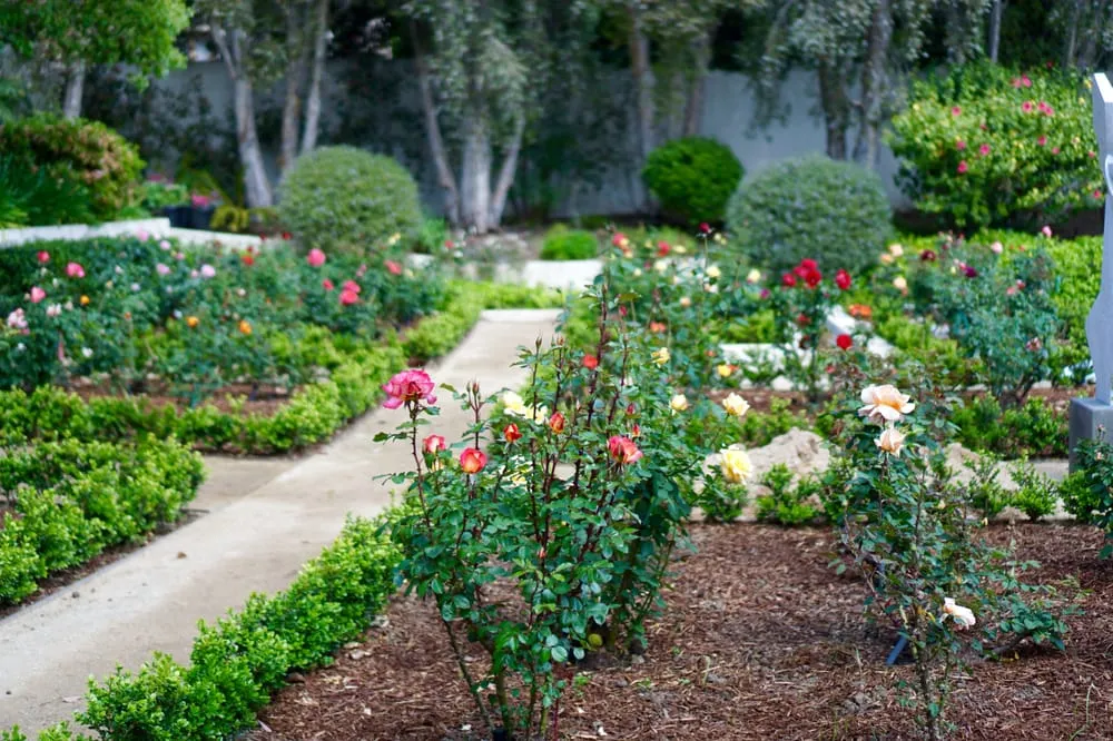 Top-rated garden landscaping with custom design in Los Angeles, CA by Whitney LAndscape LA