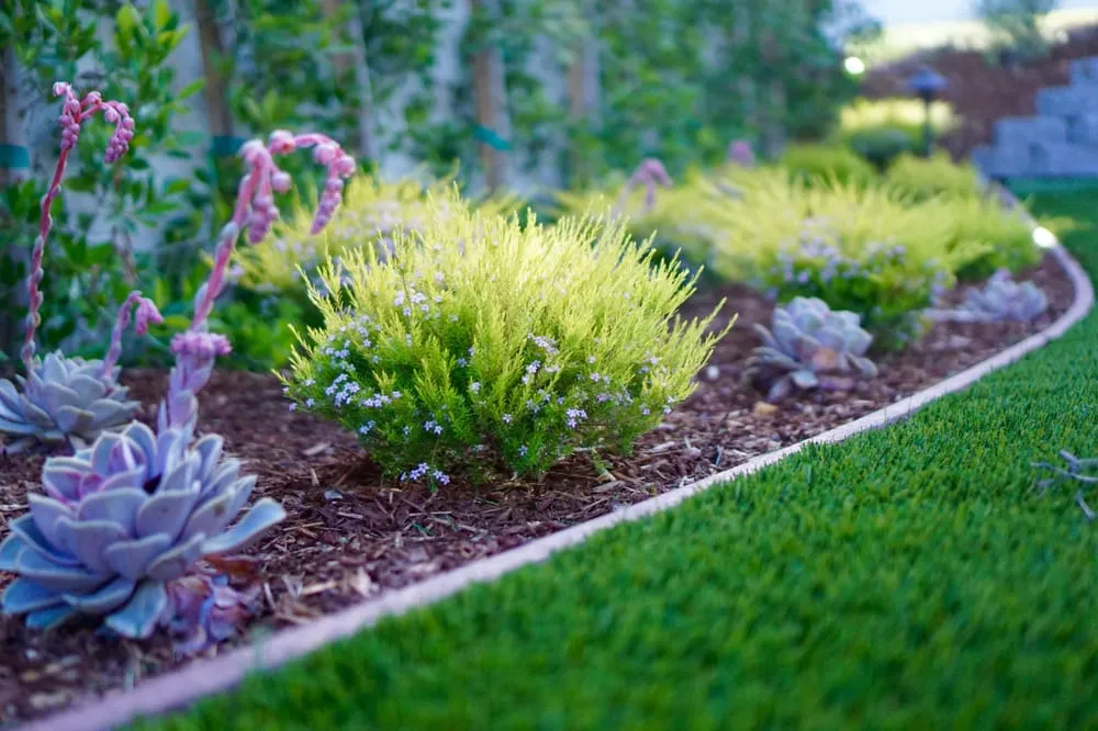 Affordable lawn mowing service with custom design in Los Angeles, CA by Whitney LAndscape LA