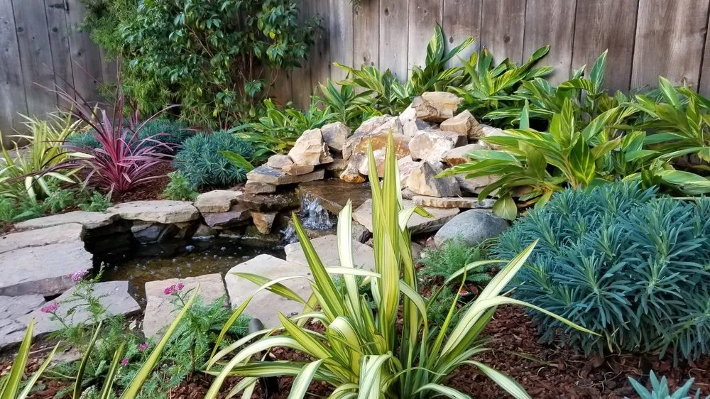 Trusted lawn mowing service experts serving Los Angeles, CA - Whitney LAndscape LA