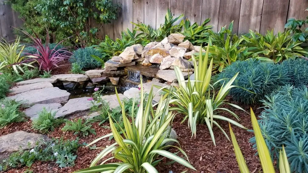 Custom yard maintenance in Los Angeles, CA - Whitney LAndscape LA