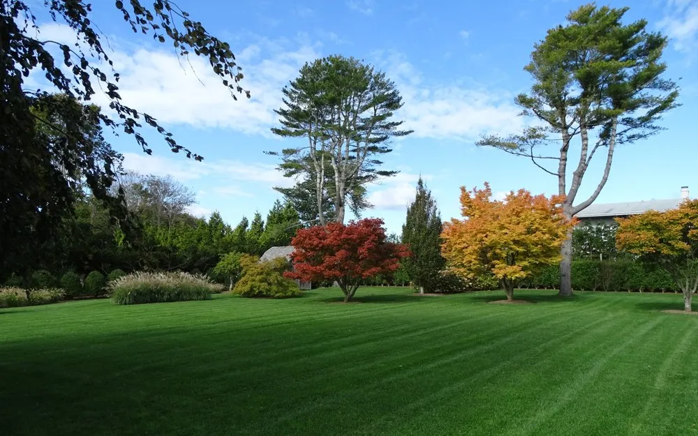 Top-rated landscaping services in East Hampton, NY by Whitney's Landscaping