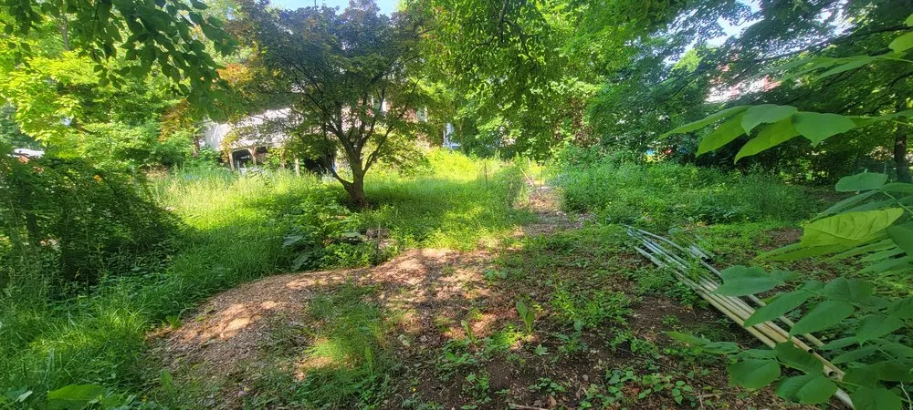 Top-rated landscape installation in Auburn, ME - Whitney's Lawn & Landscaping