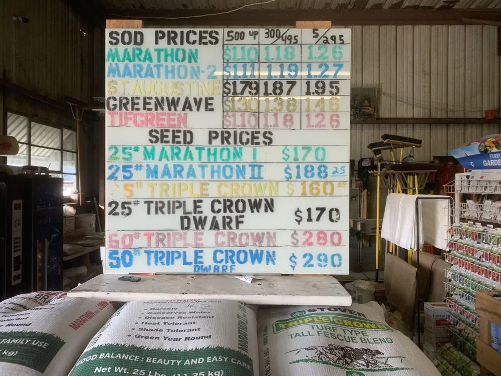 Affordable lawn mowing service in Pico Rivera, CA - Whittier Fertilizer