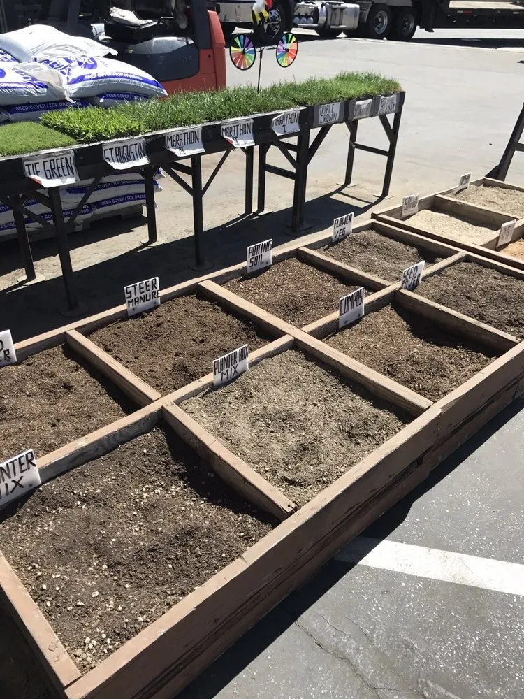 Affordable yard maintenance for year-round maintenance in Pico Rivera, CA by Whittier Fertilizer