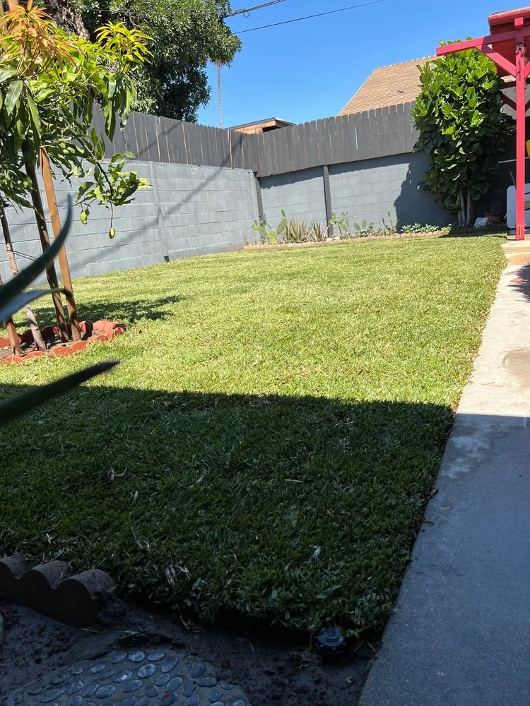 Expert landscape design in Pico Rivera, CA - Whittier Fertilizer