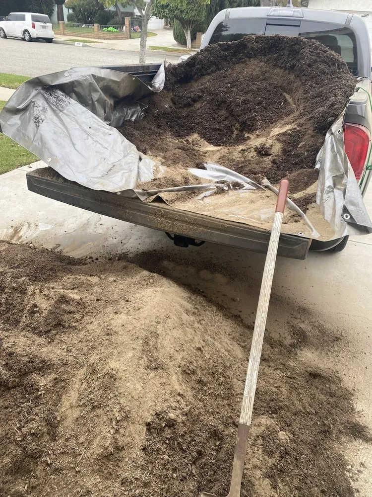 Professional yard cleanup service for year-round maintenance in Pico Rivera, CA by Whittier Fertilizer