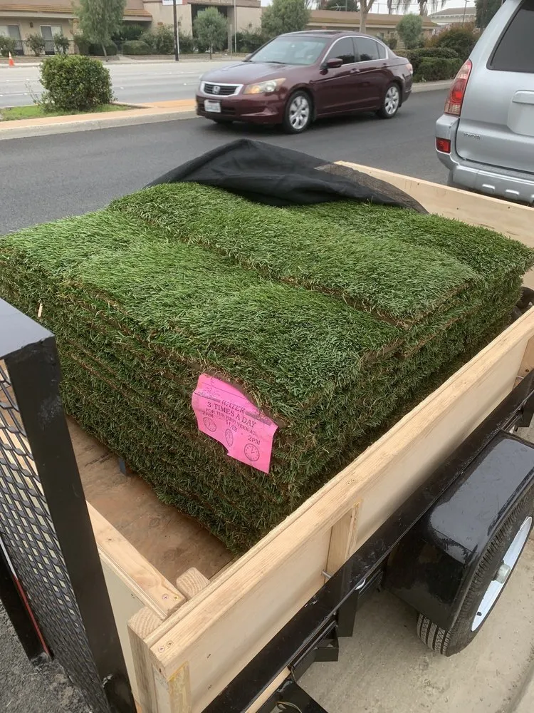 Custom yard cleanup service in Pico Rivera, CA by Whittier Fertilizer