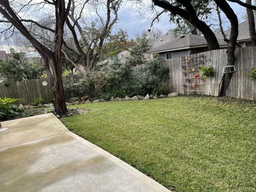 Custom yard cleanup service in Austin, TX by Whittier Lawn Care