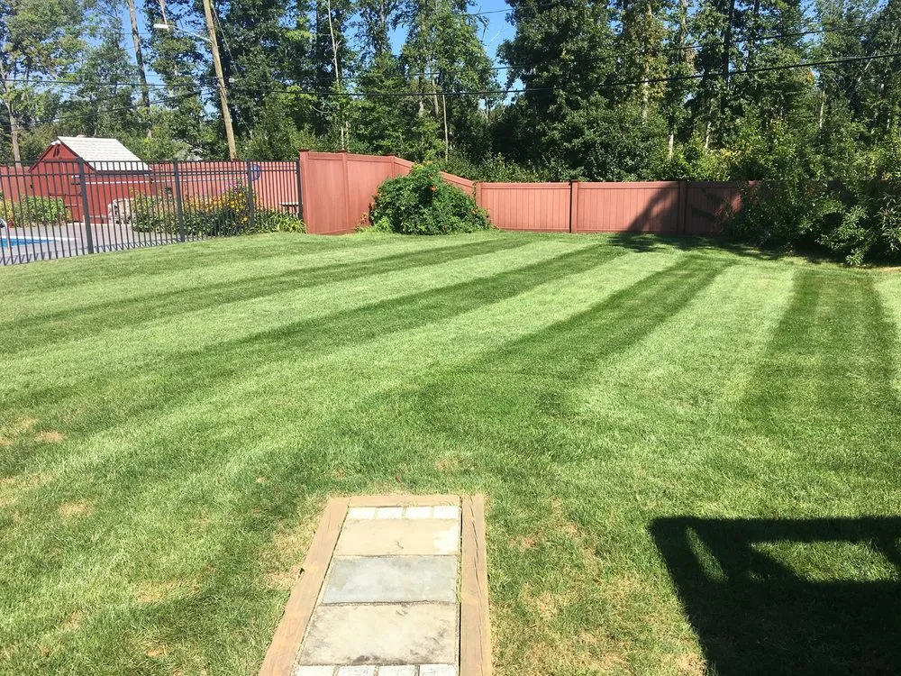 Expert lawn care service for residential properties across Austin, TX - Whittier Lawn Care