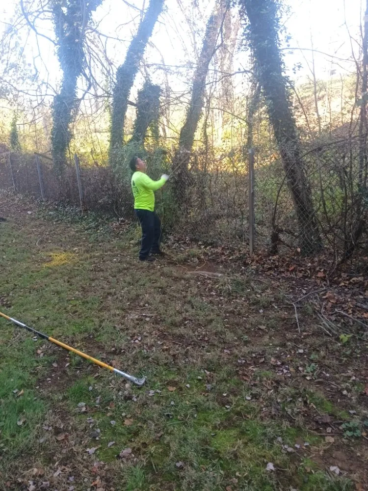 Affordable garden landscaping in Baltimore, MD - Whittington Handyman Services