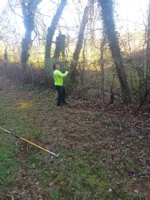 Whittington Handyman Services Logo