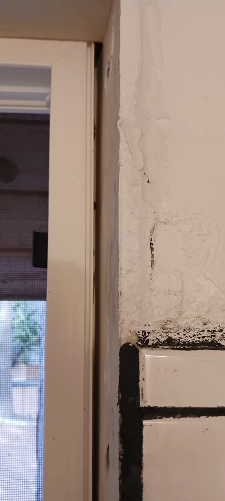 Expert outdoor landscaping near you across Twain Harte, CA - Whittington Professional Services