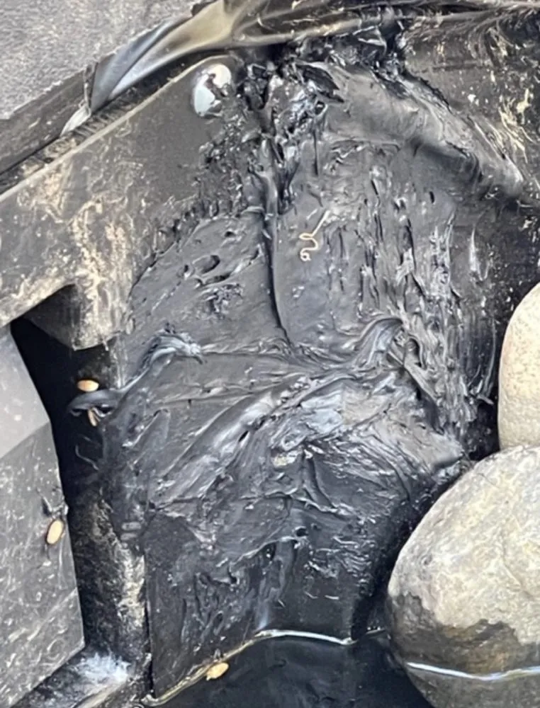 Professional yard cleanup service experts serving Twain Harte, CA - Whittington Professional Services