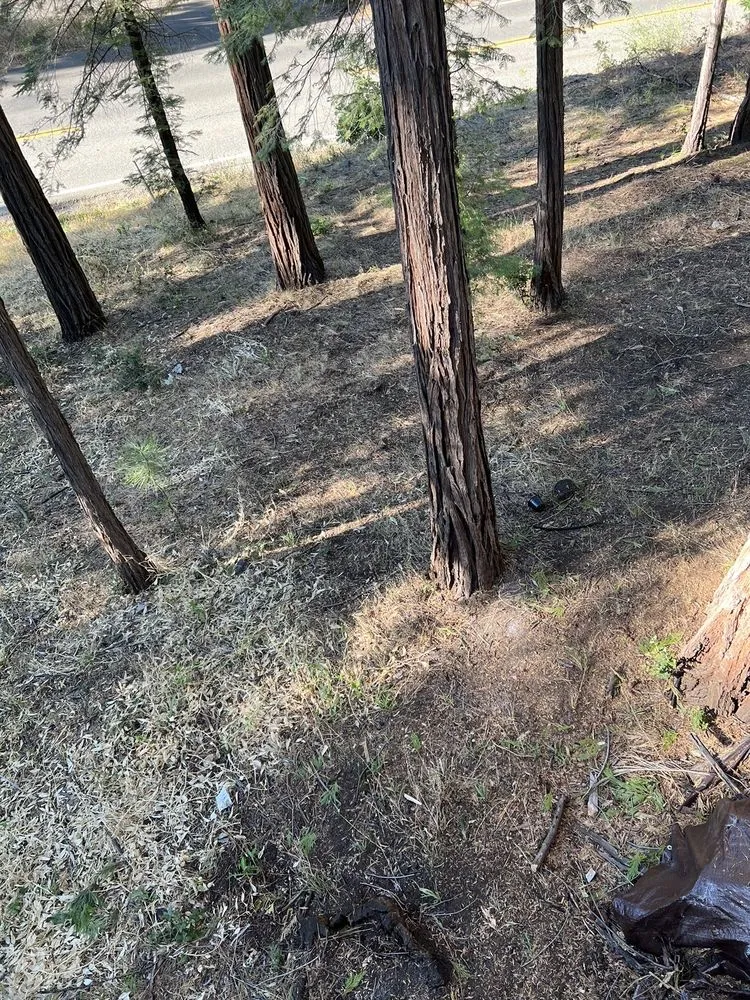 Top-rated outdoor landscaping in Twain Harte, CA by Whittington Professional Services