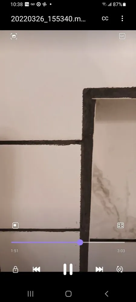 Affordable lawn care service in Twain Harte, CA by Whittington Professional Services