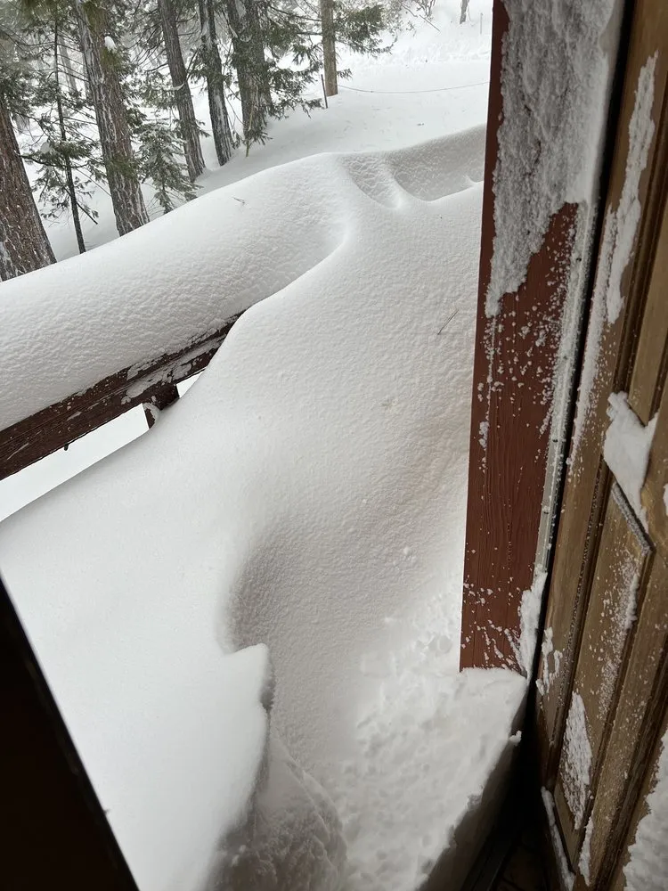 Trusted yard cleanup service for outdoor upgrades across Twain Harte, CA - Whittington Professional Services