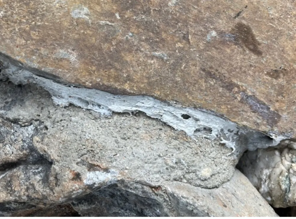 Expert landscape design in Twain Harte, CA - Whittington Professional Services