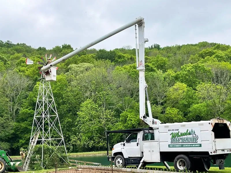 Top-rated landscaping services with custom design in Lewisburg, TN by Whittle Tree Service & Forestry Mulching