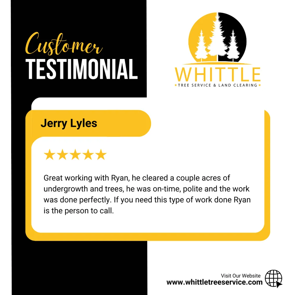 Top-rated yard cleanup service for year-round maintenance across Lewisburg, TN - Whittle Tree Service & Forestry Mulching