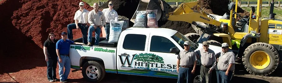 Expert outdoor landscaping with custom design across Round Rock, TX - Whittlesey Landscape Supplies