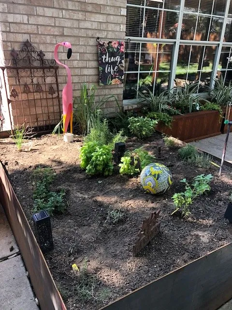 Professional landscape installation in Round Rock, TX - Whittlesey Landscape Supplies