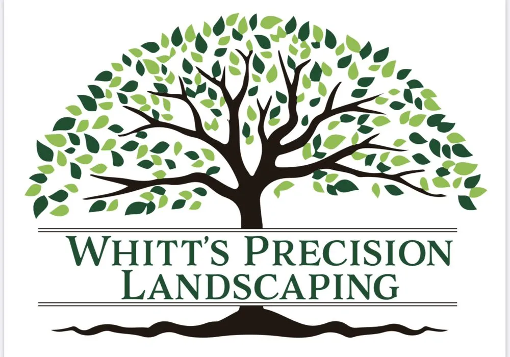 Affordable lawn mowing service for outdoor upgrades across Montezuma, GA - Whitts Precision Landscaping