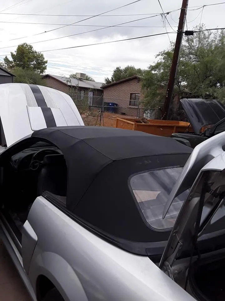 Custom lawn care service for beautiful yards in Tucson, AZ by Whitt's Repair And Maintenance