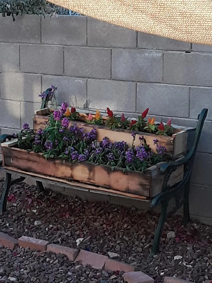 Professional lawn care service for beautiful yards in Tucson, AZ by Whitt's Repair And Maintenance