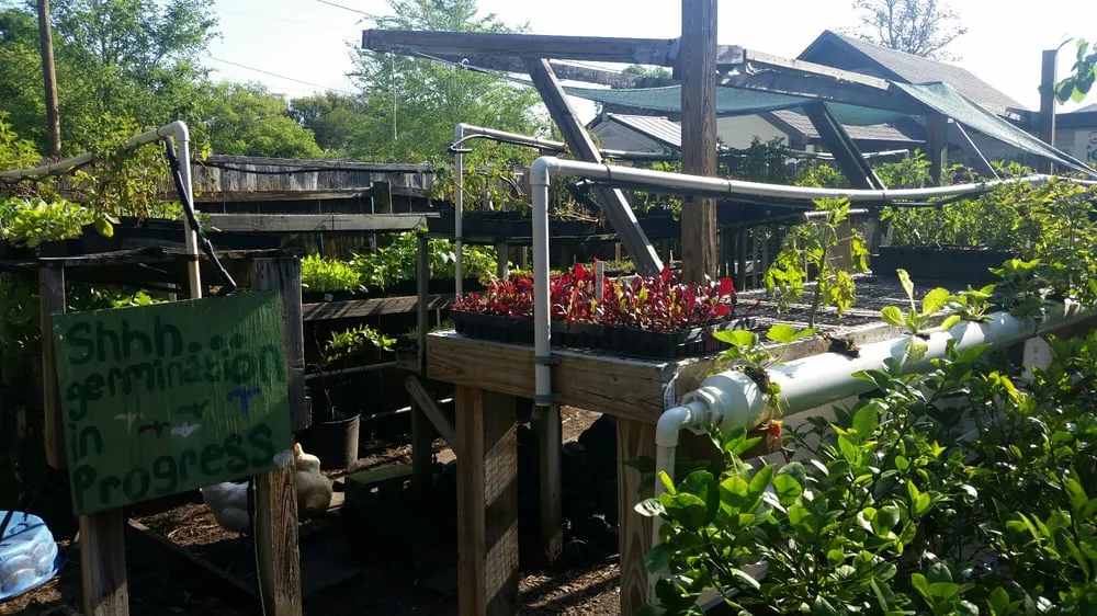 Local yard maintenance near you in Tampa, FL by Whitwam Organics