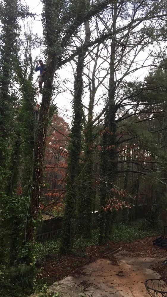 Local residential landscaping for homes in Suwanee, GA by Whitwell Landscaping