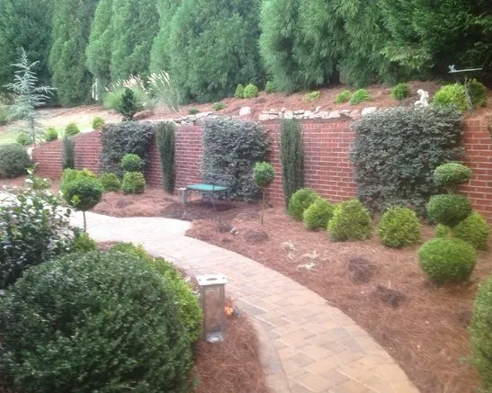Top-rated landscaping services in Suwanee, GA - Whitwell Landscaping