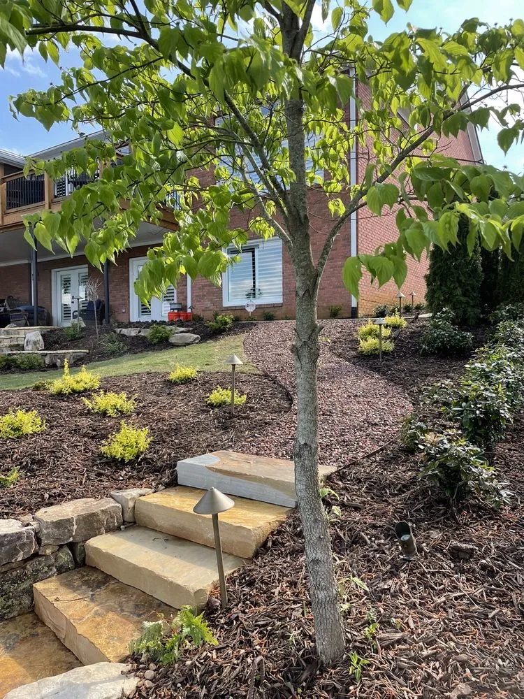 Professional lawn care service in Suwanee, GA - Whitwell Landscaping