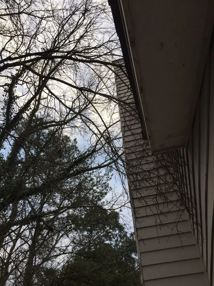 Reliable yard maintenance for residential properties across Suwanee, GA - Whitwell Landscaping