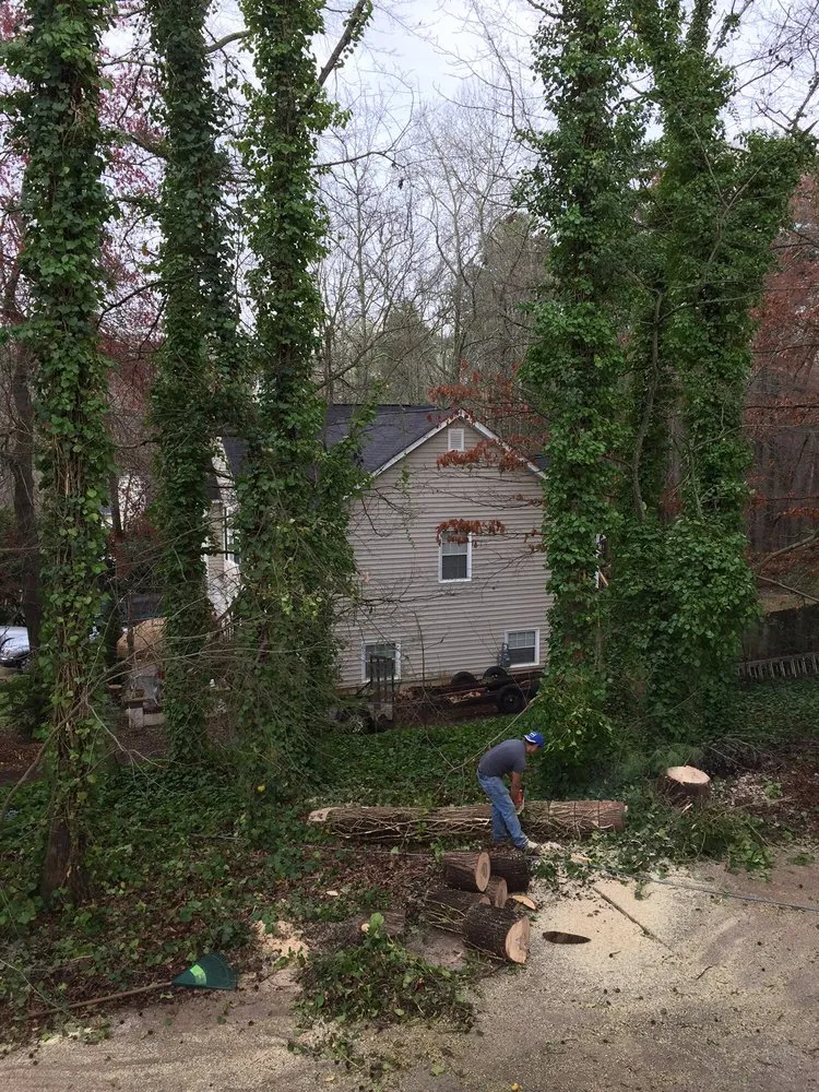 Professional outdoor landscaping in Suwanee, GA by Whitwell Landscaping