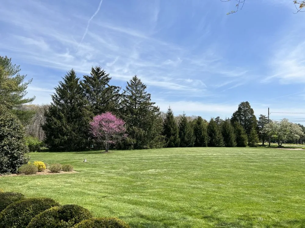 Affordable landscape installation experts serving Flemington, NJ - Whole 9 Yards