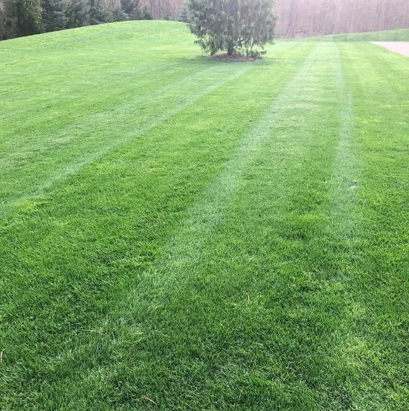 Reliable landscape installation for residential properties across Fuquay-Varina, NC - Whole Armor Lawn Care