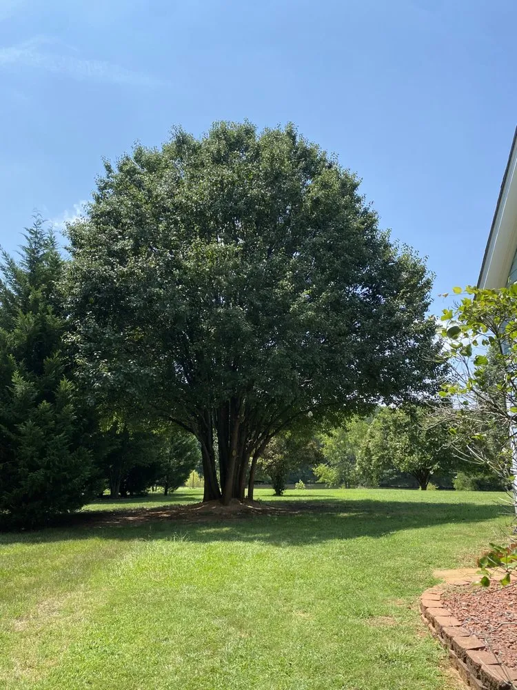 Local lawn mowing service near you across Fuquay-Varina, NC - Whole Armor Property Services