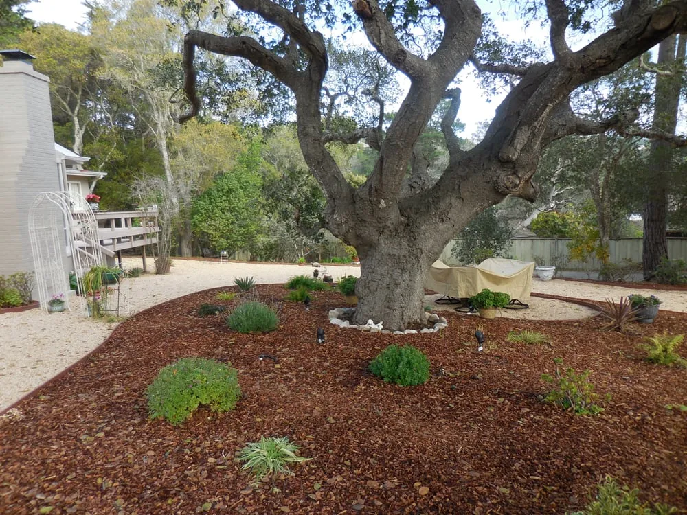 Local lawn mowing service in Carmel, CA by Whole Earth Landscape
