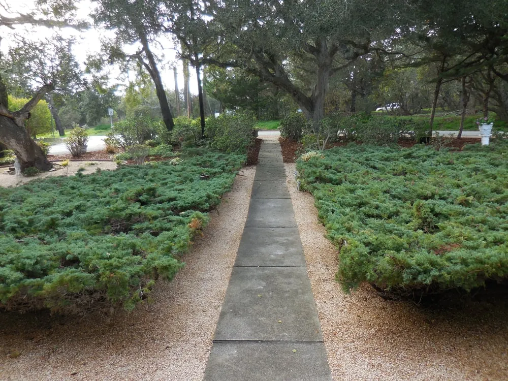 Custom landscaping services in Carmel, CA by Whole Earth Landscape