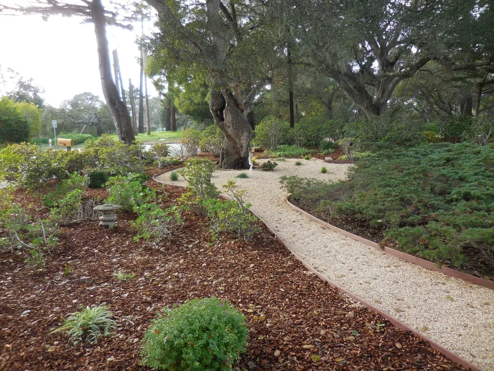 Local garden landscaping in Carmel, CA - Whole Earth Landscape