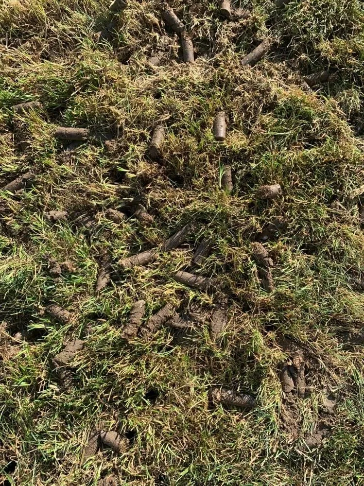 Professional landscape design experts serving Lincoln, NE - Whole Latta Lawn’s