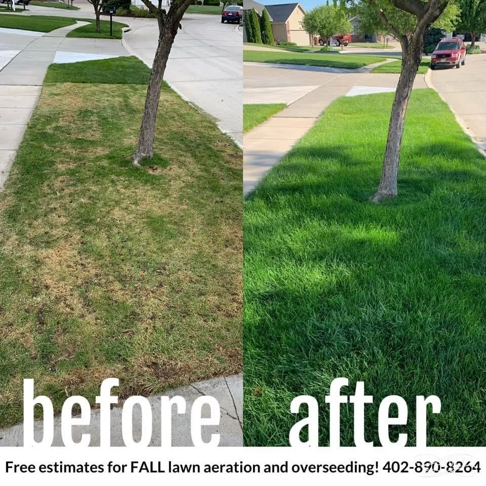 Reliable lawn care service in Lincoln, NE - Whole Latta Lawn’s