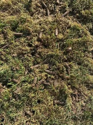 Whole Latta Lawn’s Logo