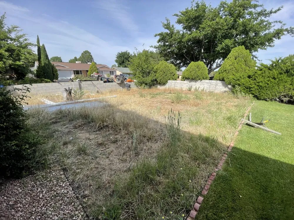 Local landscape design for outdoor upgrades across Albuquerque, NM - Whole Lotta Junk Services