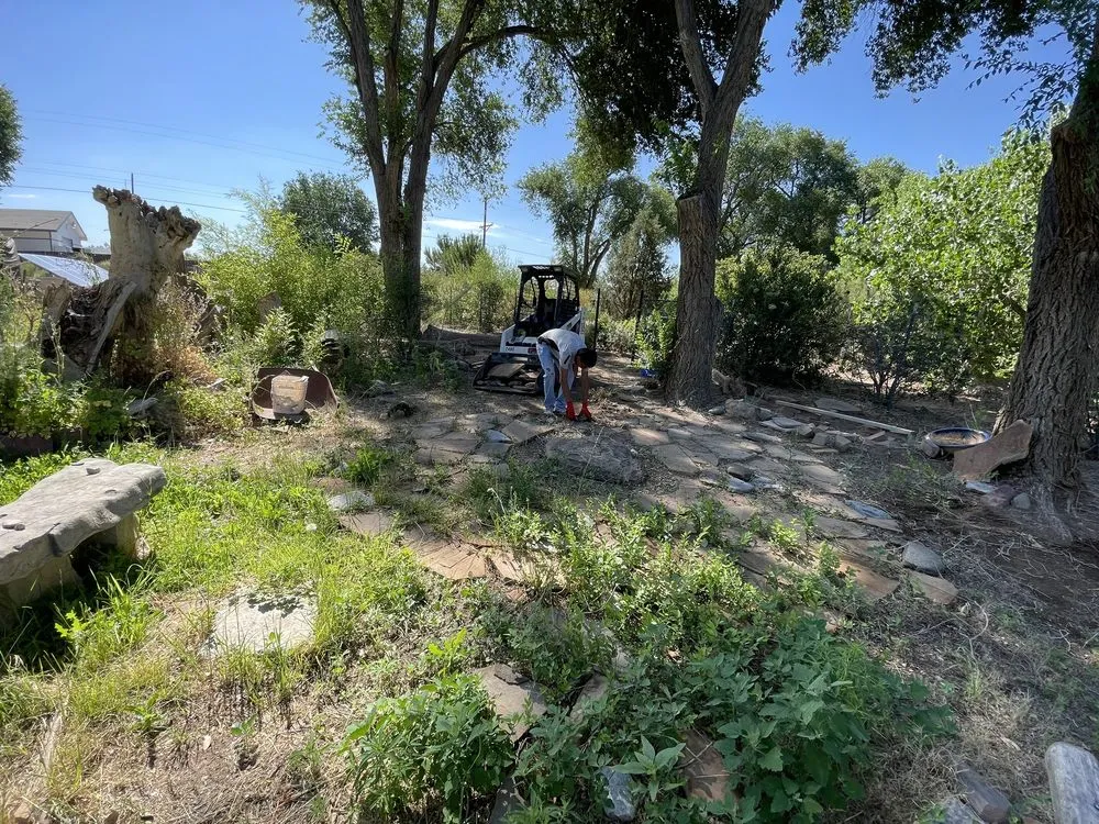 Custom landscape installation in Albuquerque, NM by Whole Lotta Junk Services
