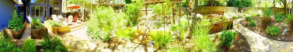 Reliable yard cleanup service experts serving Davis, CA - Whole System Designs